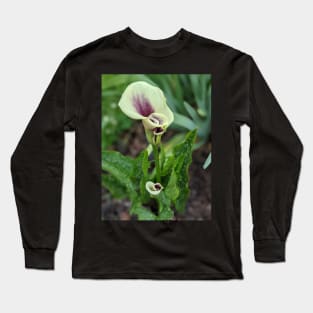 Calla Lilies Photographic Image Long Sleeve T-Shirt